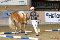 02-OIHT_329