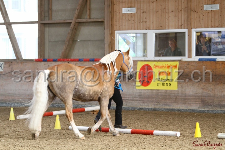 03-OKV-TIH_121.jpg