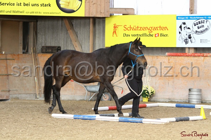 03-OKV-TIH_146.jpg