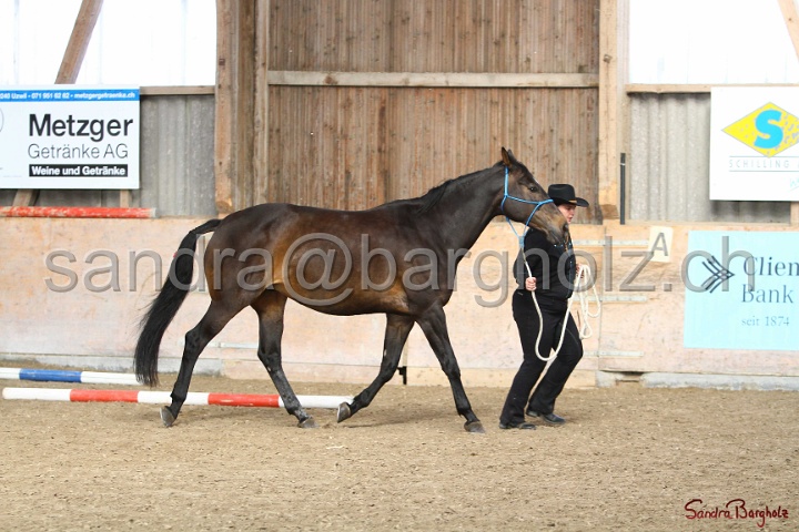 03-OKV-TIH_148.jpg