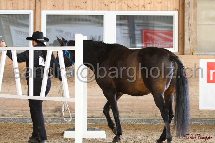 03-OKV-TIH_160.jpg