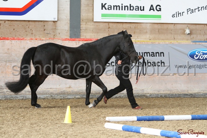 03-OKV-TIH_206.jpg