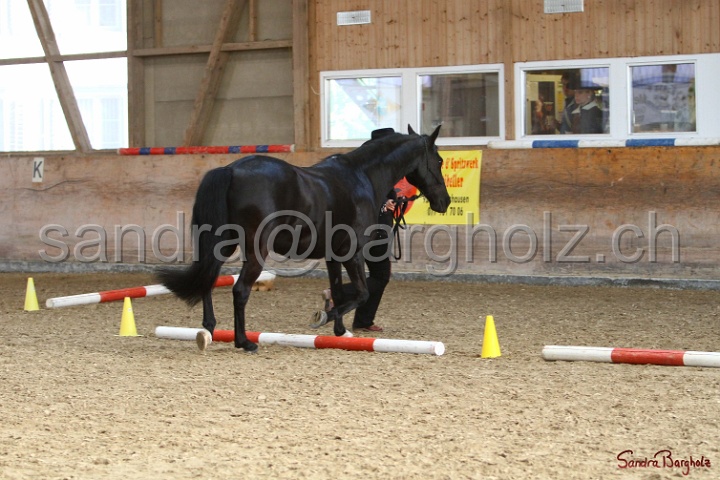 03-OKV-TIH_224.jpg