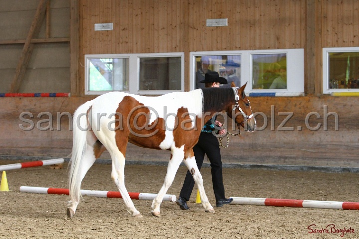 03-OKV-TIH_258.jpg