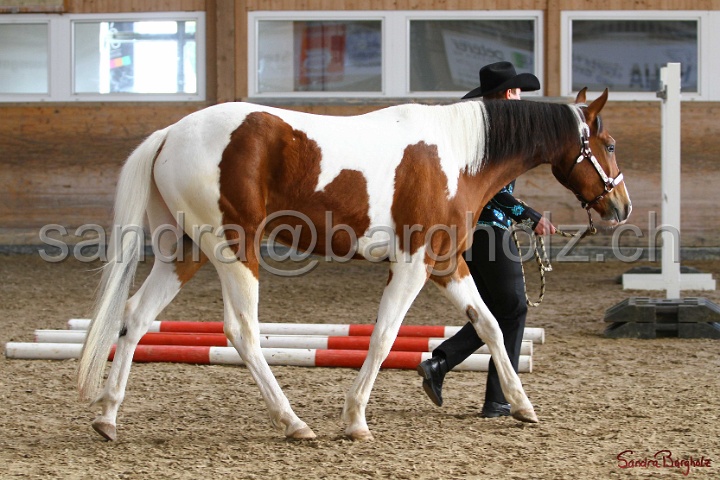 03-OKV-TIH_265.jpg