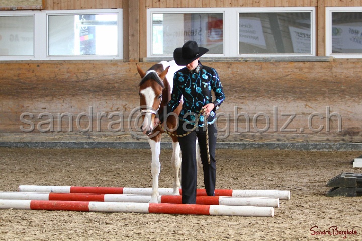 03-OKV-TIH_272.jpg