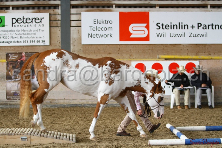03-OKV-TIH_277.jpg