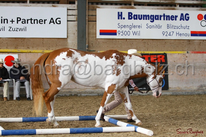 03-OKV-TIH_279.jpg