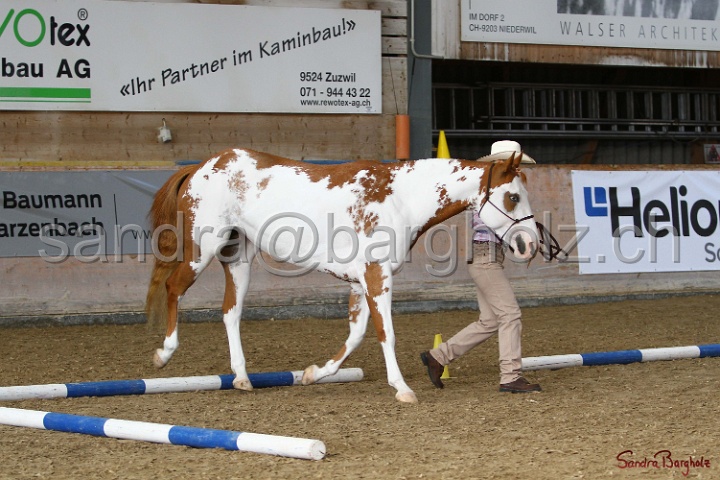 03-OKV-TIH_285.jpg