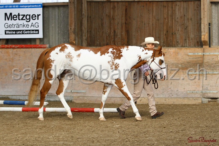 03-OKV-TIH_293.jpg