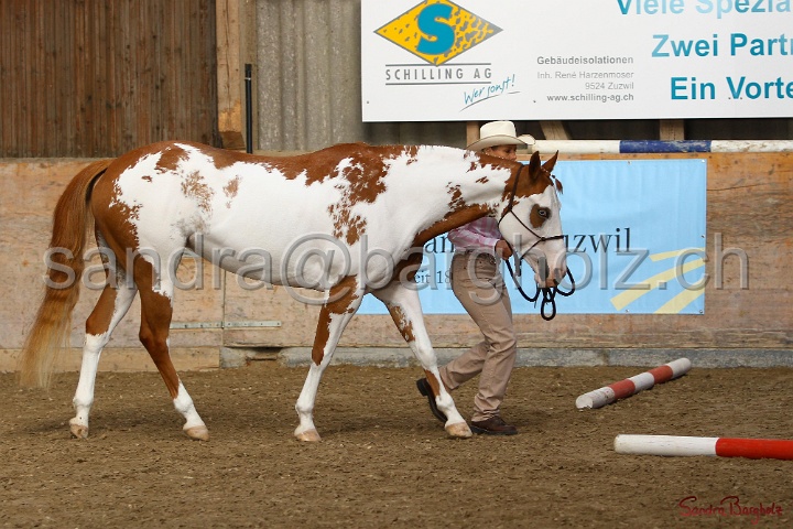 03-OKV-TIH_294.jpg