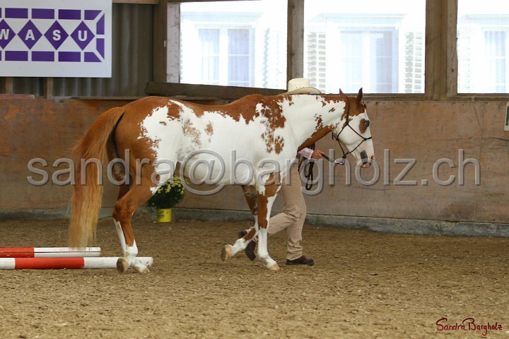 03-OKV-TIH_298.jpg