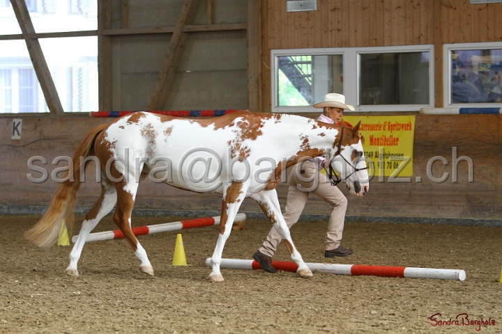 03-OKV-TIH_302.jpg