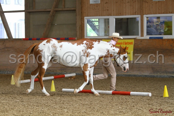 03-OKV-TIH_303.jpg