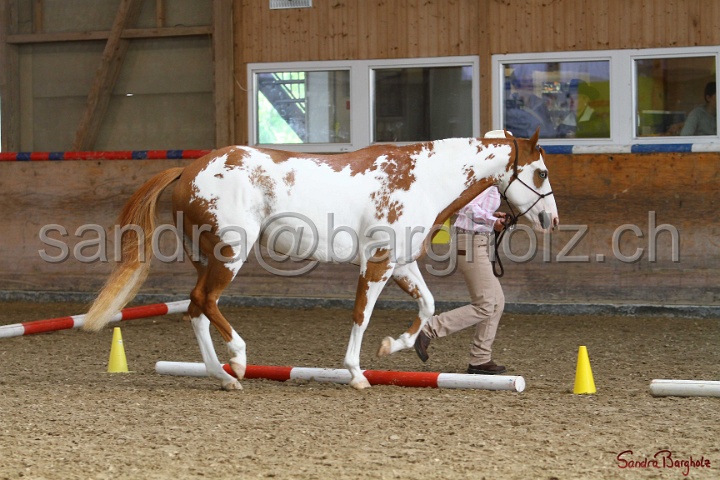 03-OKV-TIH_304.jpg