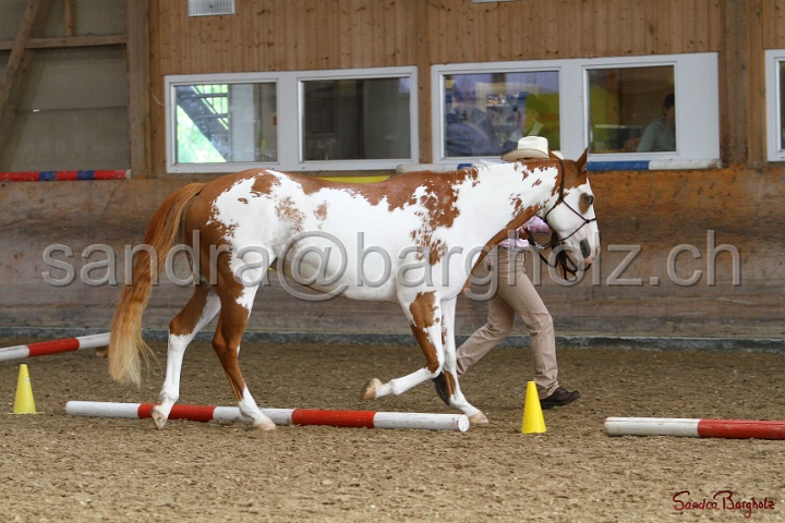 03-OKV-TIH_306.jpg