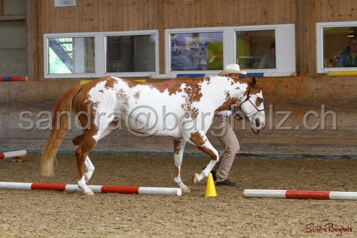 03-OKV-TIH_307.jpg