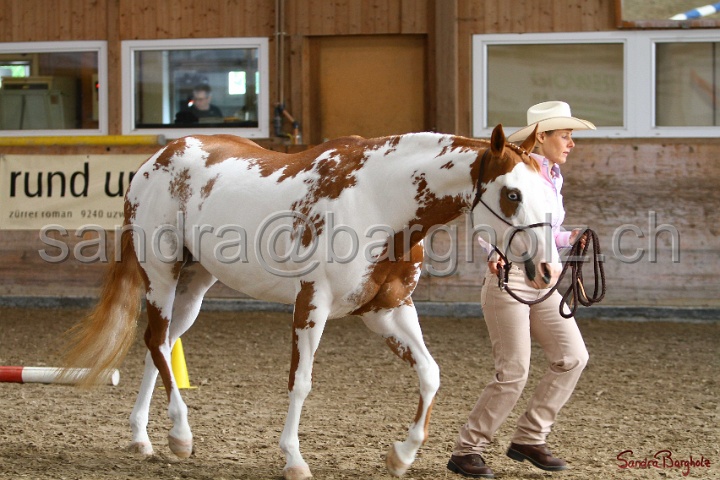 03-OKV-TIH_312.jpg