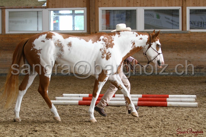 03-OKV-TIH_313.jpg