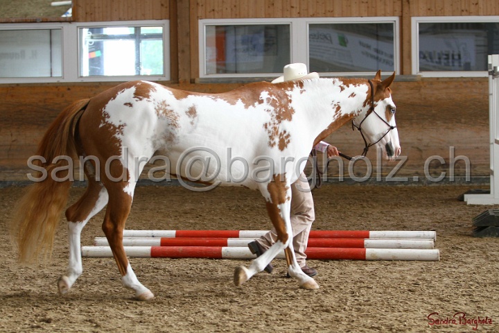 03-OKV-TIH_314.jpg