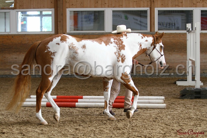 03-OKV-TIH_315.jpg