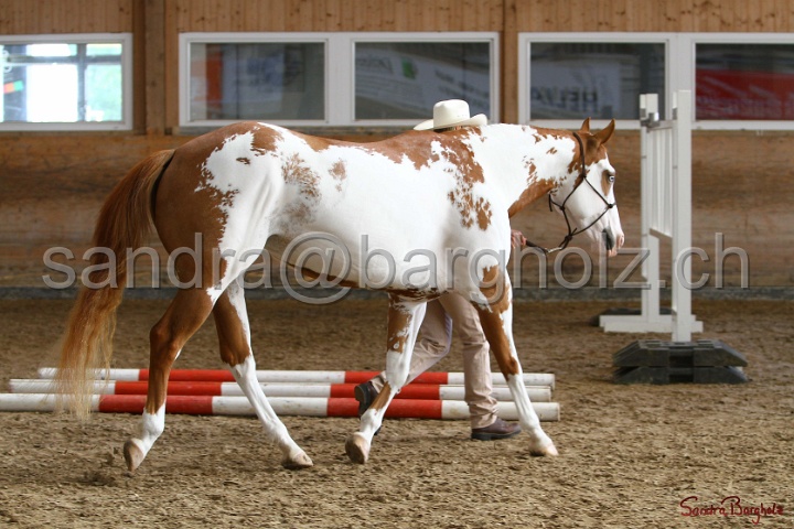 03-OKV-TIH_316.jpg