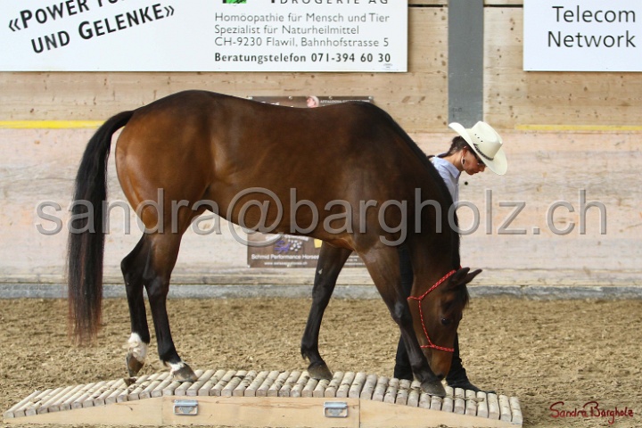 03-OKV-TIH_329.jpg