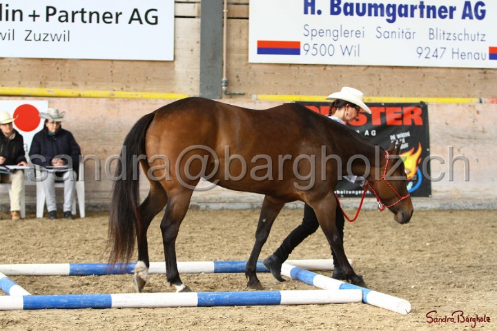 03-OKV-TIH_331.jpg