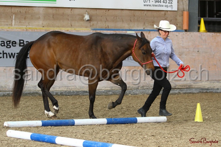 03-OKV-TIH_334.jpg