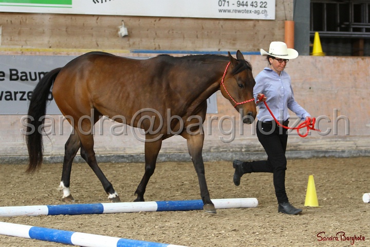 03-OKV-TIH_335.jpg