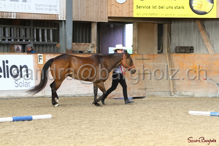 03-OKV-TIH_341.jpg
