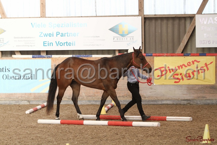 03-OKV-TIH_348.jpg