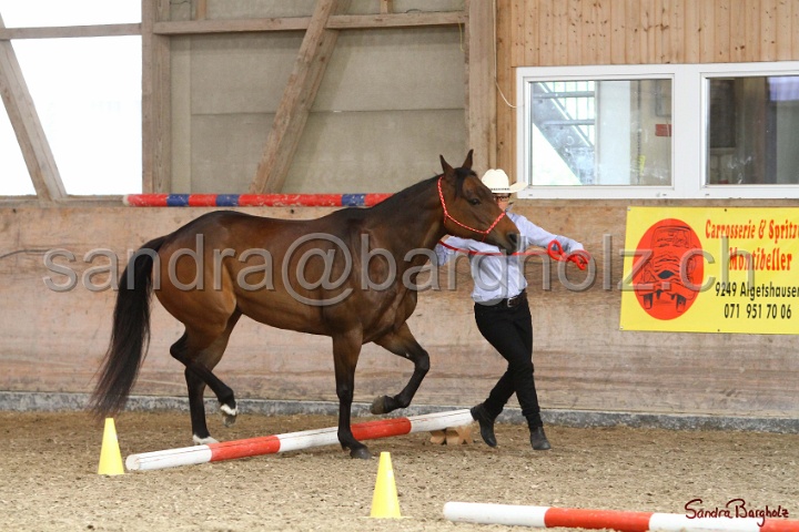 03-OKV-TIH_351.jpg