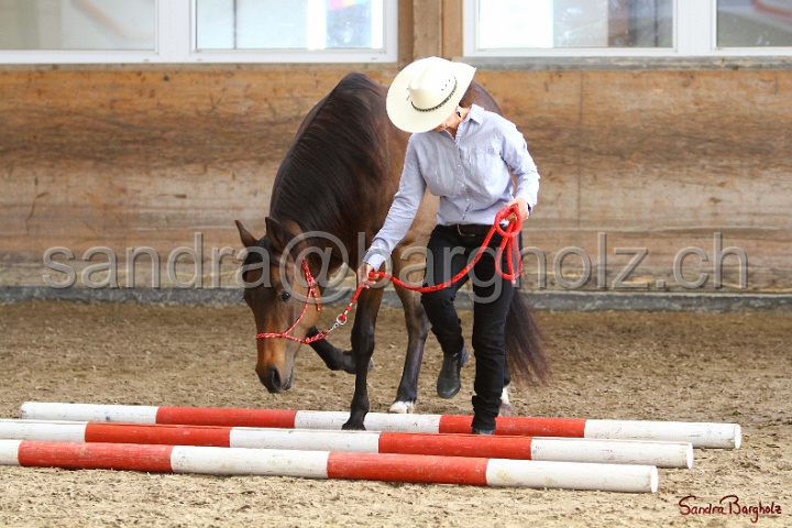 03-OKV-TIH_363.jpg