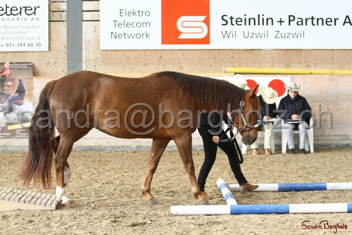 03-OKV-TIH_366.jpg