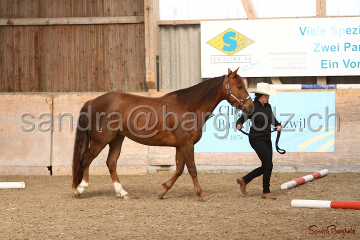 03-OKV-TIH_378.jpg