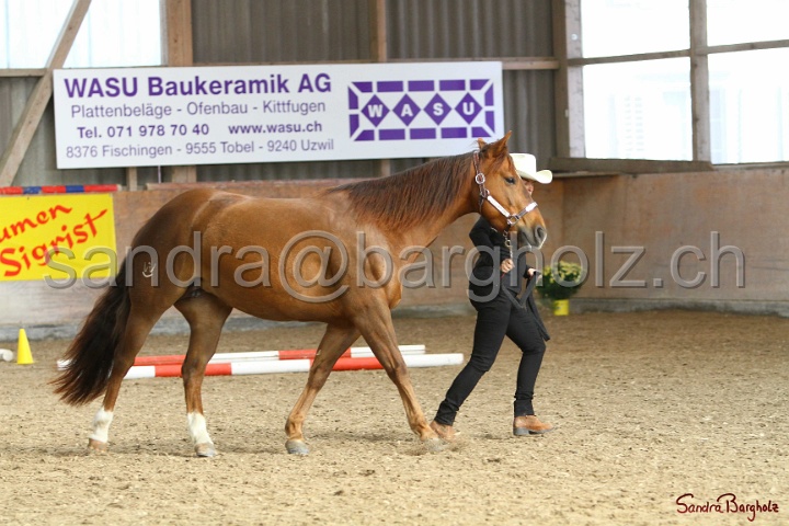 03-OKV-TIH_380.jpg