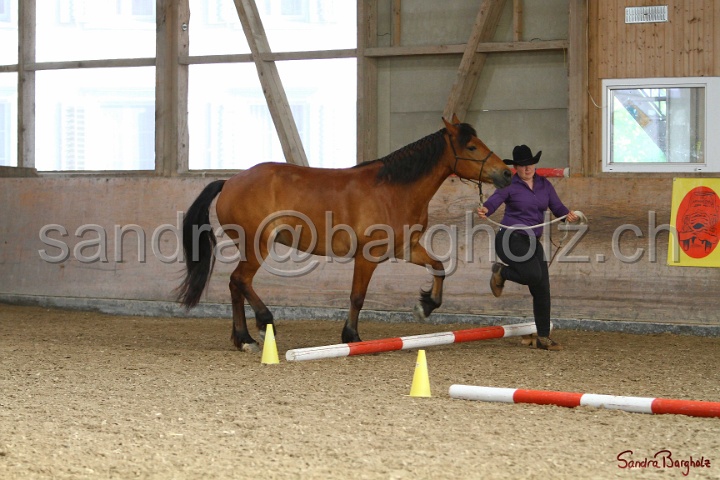03-OKV-TIH_411.jpg