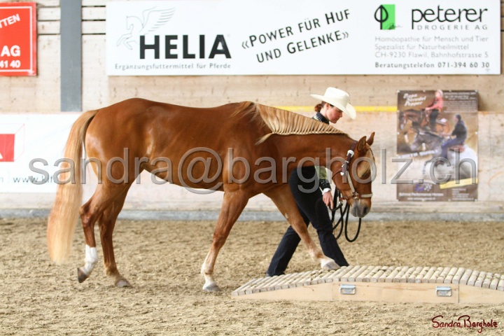 03-OKV-TIH_428.jpg