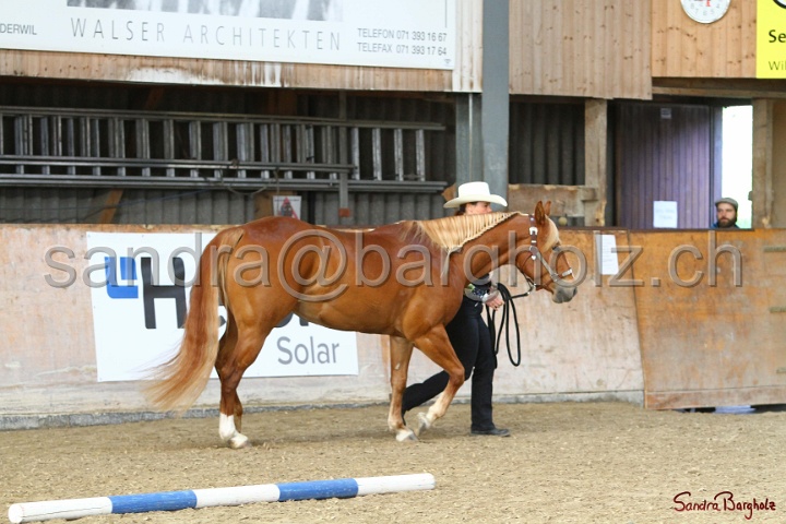 03-OKV-TIH_440.jpg