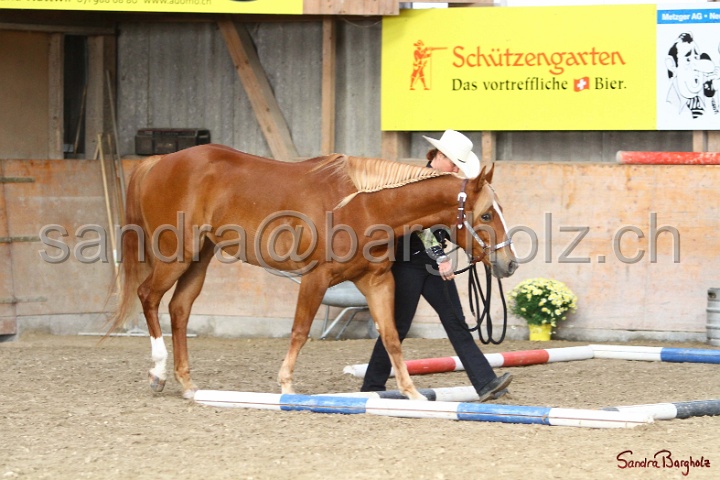 03-OKV-TIH_441.jpg