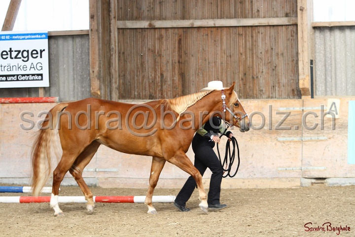 03-OKV-TIH_443.jpg
