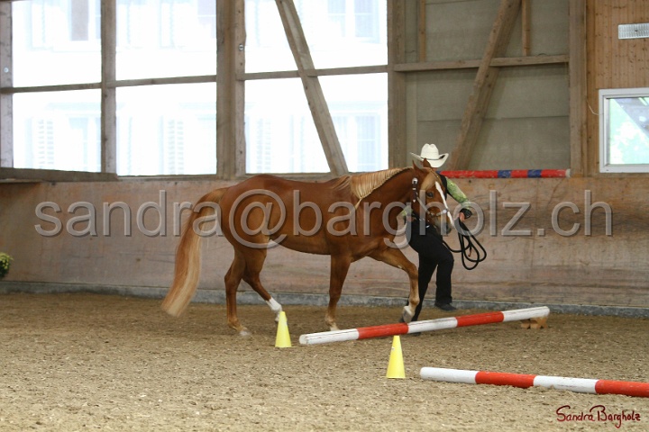 03-OKV-TIH_445.jpg