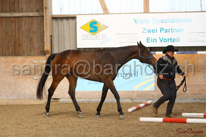 03-OKV-TIH_481.jpg