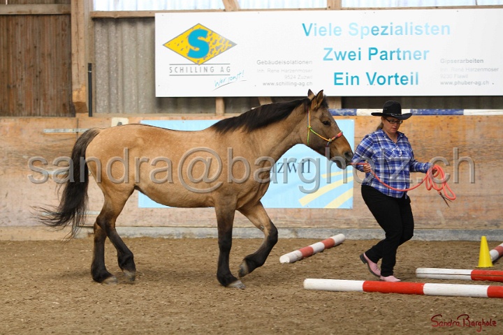03-OKV-TIH_511.jpg