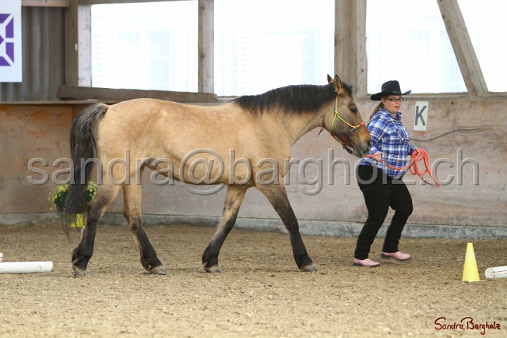03-OKV-TIH_514.jpg