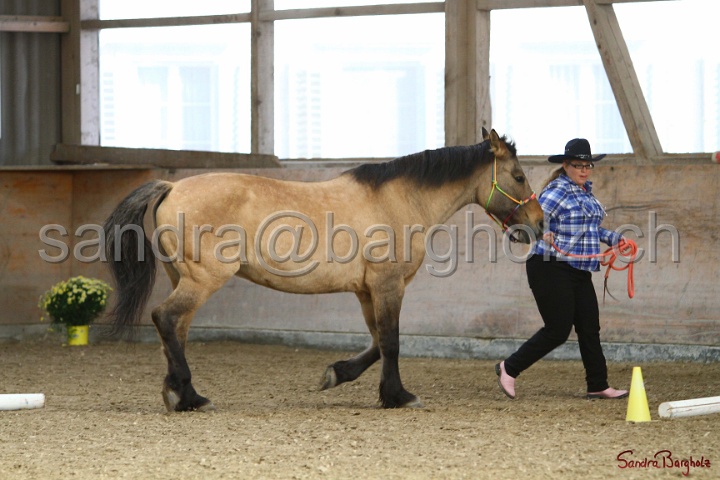 03-OKV-TIH_515.jpg