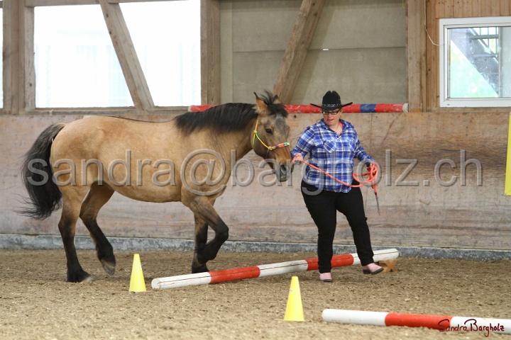 03-OKV-TIH_517.jpg