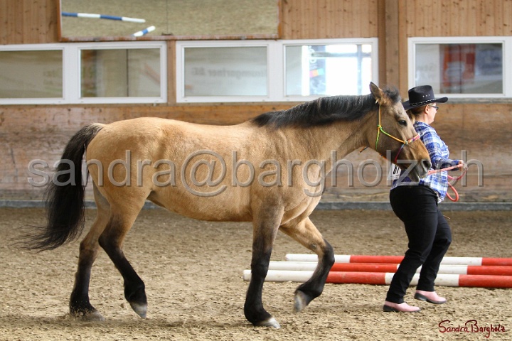 03-OKV-TIH_521.jpg