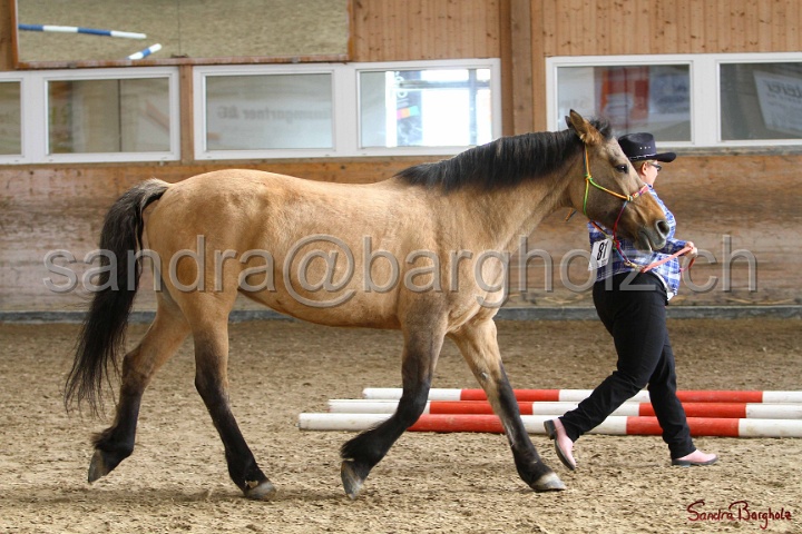 03-OKV-TIH_522.jpg